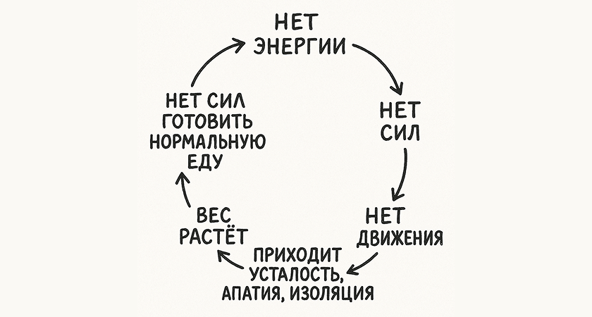 Митохондрии отвечают за производство энергии