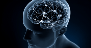 Как улучшить память: причины снижения памяти, способы ее поддержания. Причины снижения памяти. Способы улучшения памяти.