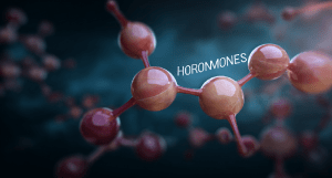 Окситоцин: гормон доверия и близости. Как мягко поддерживать уровень половых гормонов. Гормоны и настроение: как невидимая химия управляет нашими эмоциями, мыслями и решениями.
