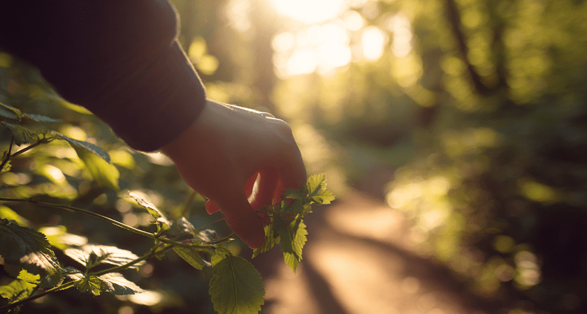 Что влияет на ментальное здоровье