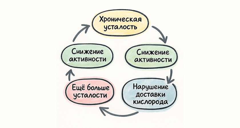 Низкий Ферритин